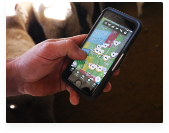 screenshot of AgriWebb Notebook